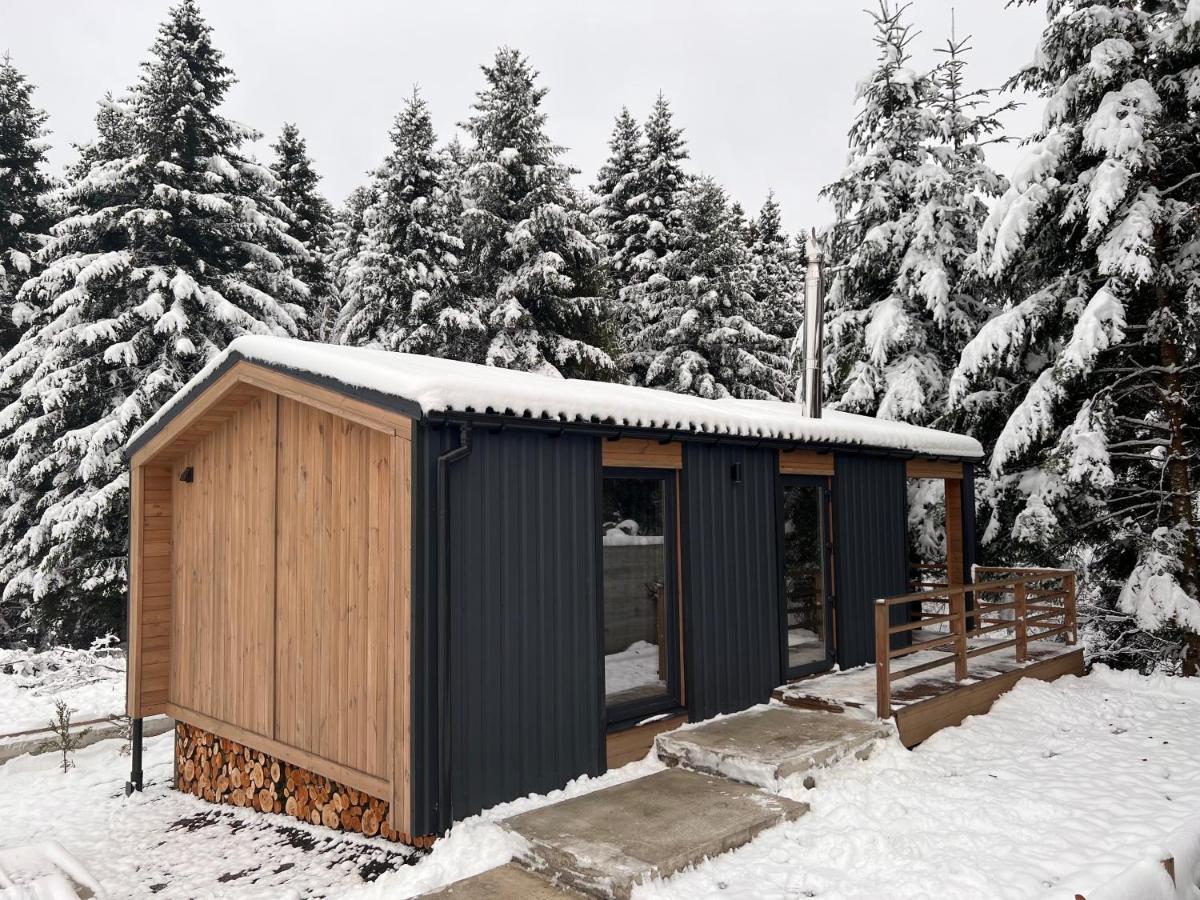 Skhidnytsia Парк-Готель Щастя المظهر الخارجي الصورة
